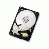Жесткий диск Hitachi HCS5C1025CLA382