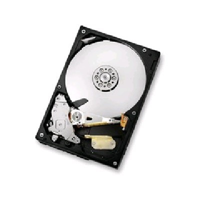 жесткий диск Hitachi HCS5C1025CLA382