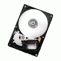 Жесткий диск Hitachi HCS5C3225SLA380