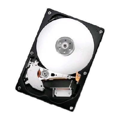 жесткий диск Hitachi HCS5C3225SLA380