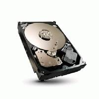 Жесткий диск Seagate ST3250312CS