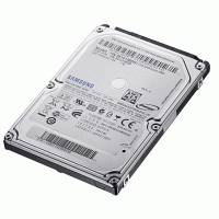 Жесткий диск Samsung HN-M320MBB