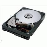 Жесткий диск Hitachi HDS724040KLSA80
