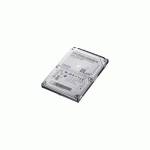 Жесткий диск Samsung HN-M500MBB