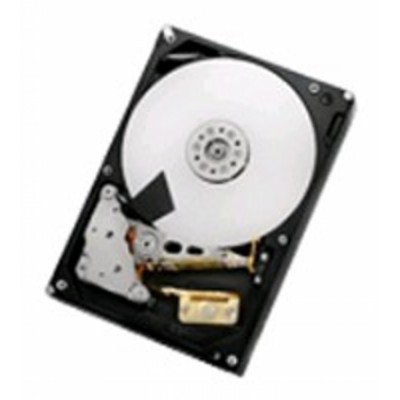 жесткий диск HGST 0F22813