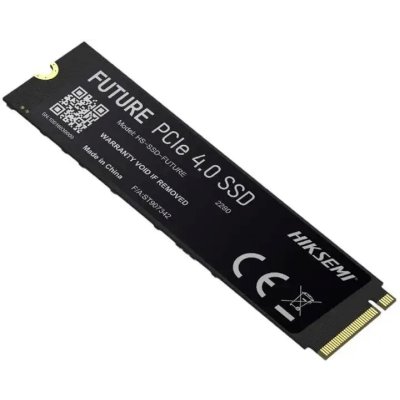 SSD диск Hiksemi 2Tb HS-SSD-FUTURE 2048G