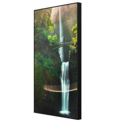 Витринный информационный дисплей Hisense 55WH80F