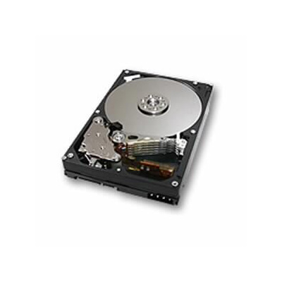 жесткий диск Hitachi HDS724040KLAT80