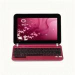 Нетбук HP Mini 210-3051er