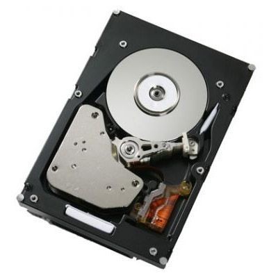 жесткий диск IBM 40K1030