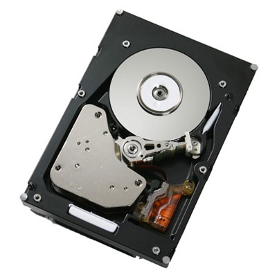 жесткий диск IBM 43W7580