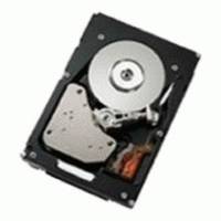 Жесткий диск IBM 43W7622