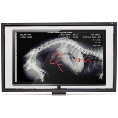 Smart Board SBID-L450