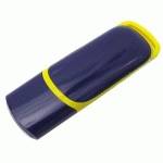 Флешка Jet.A 4GB USB Flash Drive Pingvi blue-yellow