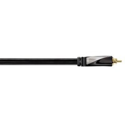 Avinity H-107493