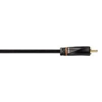 Avinity H-107498