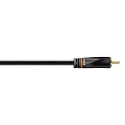 Avinity H-107498