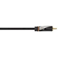 Avinity H-107503