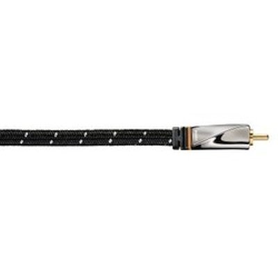 Avinity H-107508