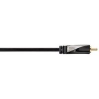 Avinity H-107512