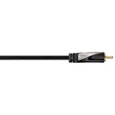 Avinity H-107513