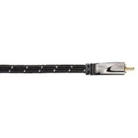 Avinity H-107515