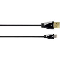 Avinity H-107592