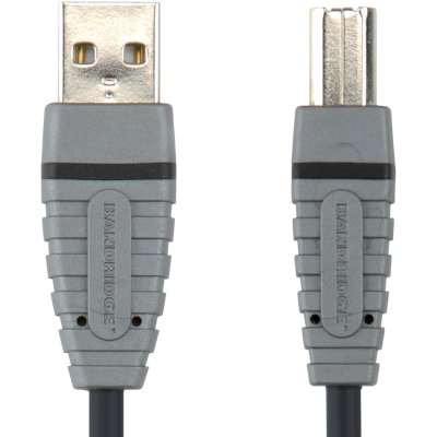 Bandridge BCL4102