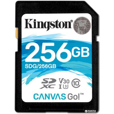карта памяти Kingston 256GB SDG-256GB