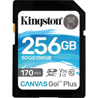 карта памяти Kingston 256GB SDG3/256GB