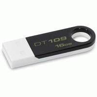 Флешка Kingston 8GB DataTraveler 109K DT109K-8GB