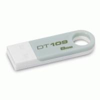 Флешка Kingston 8GB DT109S-8GBZ