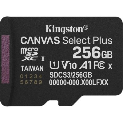 Карта памяти Kingston Canvas Select Plus 256GB SDCS3/256GBSP