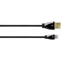 Avinity 00107593