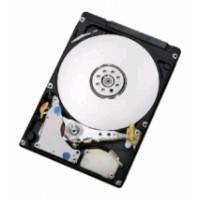 Жесткий диск Lenovo 43N3420