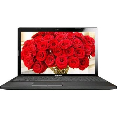 ноутбук Lenovo IdeaPad G580 59365417