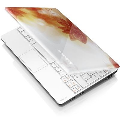 нетбук Lenovo IdeaPad S100 59312489