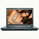 Ноутбук Lenovo ThinkPad L510 2873A69