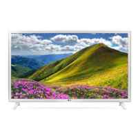 Телевизор LG 32LJ519U
