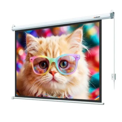 Экран для проектора Lumien Eco Control LEC-100119