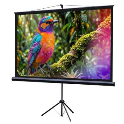 Экран для проектора Lumien Eco View LEV-100115