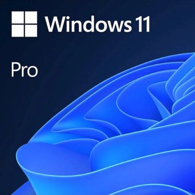 Лицензия Microsoft Windows 11 Professional FQC-10528