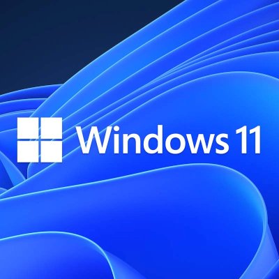 лицензия Microsoft Windows 11 Professional FQC-10529