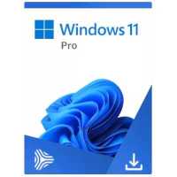 Microsoft Windows 11 Professional FQC-10547