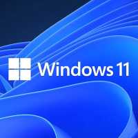 Лицензия Microsoft Windows 11 Professional HZV-00120
