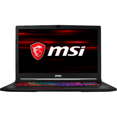 ноутбук MSI GE73 8RF-094