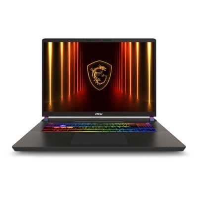 Ноутбук MSI Vector 17 HX AI A2XWHG-240XRU