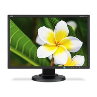 Монитор NEC E233WM-BK