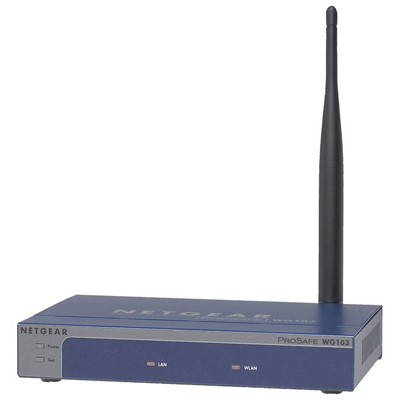 точка доступа NetGear WG103-100PES