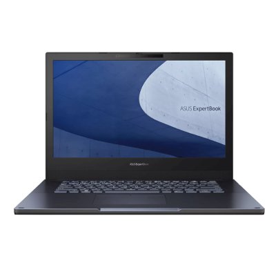 Ноутбуки Asus ExpertBook L2 L2402CYA